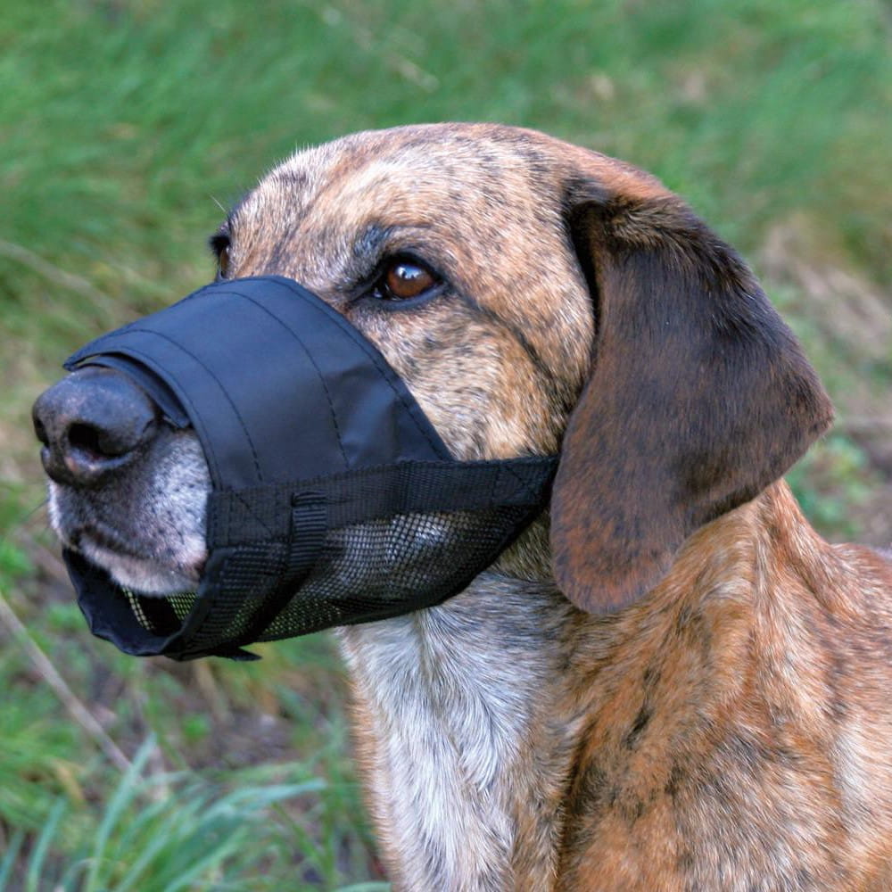 KAGANIEC MATERIAŁOWY Z SIATKĄ DLA MAŁEGO PSA 2.jpg